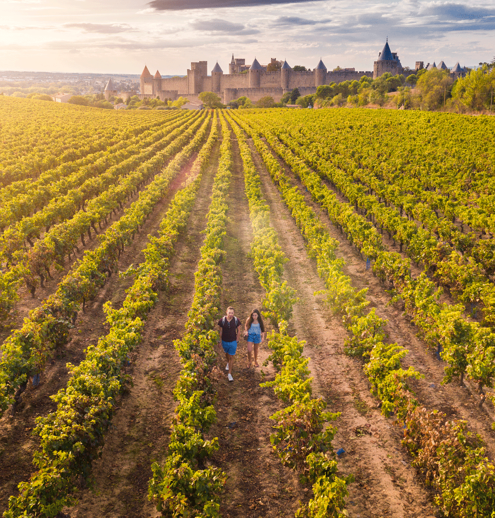 cité de Carcassonne