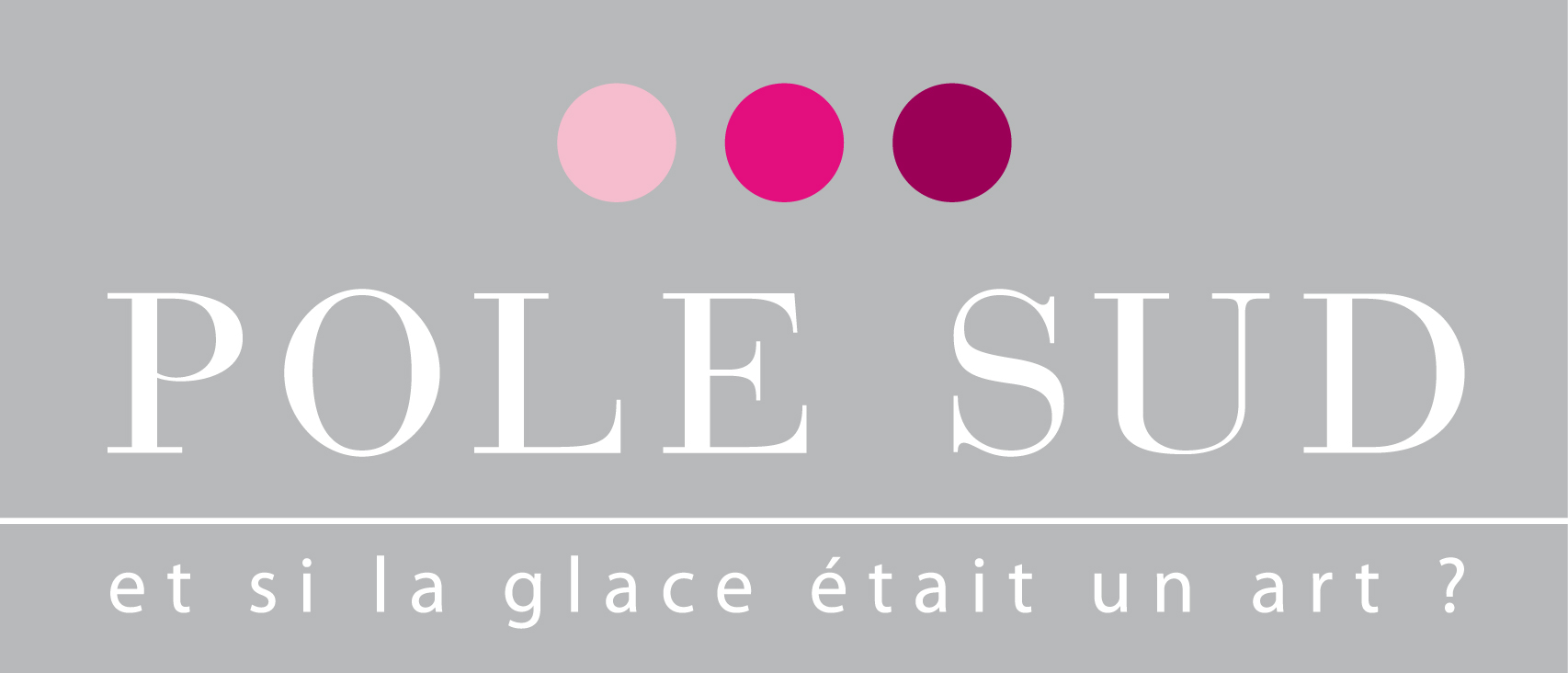 logo pole sud<br />
