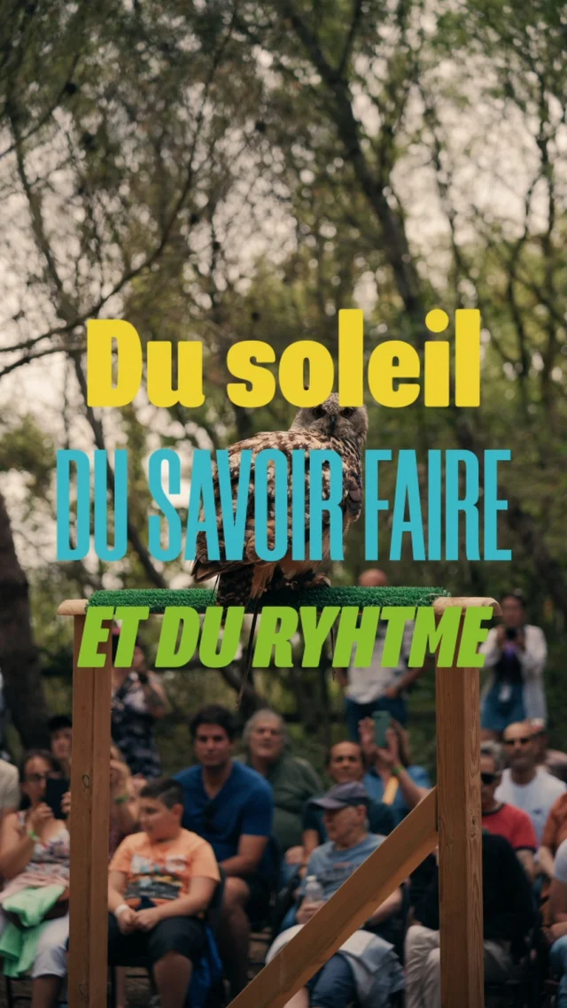 🎞️ Retour sur ce samedi 7 juin… et ce n’est pas fini, ça continue jusqu’à lundi 20h ! 🥳 #promaude2025 #aude #tourisme #occitanie #évènement #fermevivante #sport #artisans #producteurs #produitslocaux #audealpais #terroir #lezignancorbieres